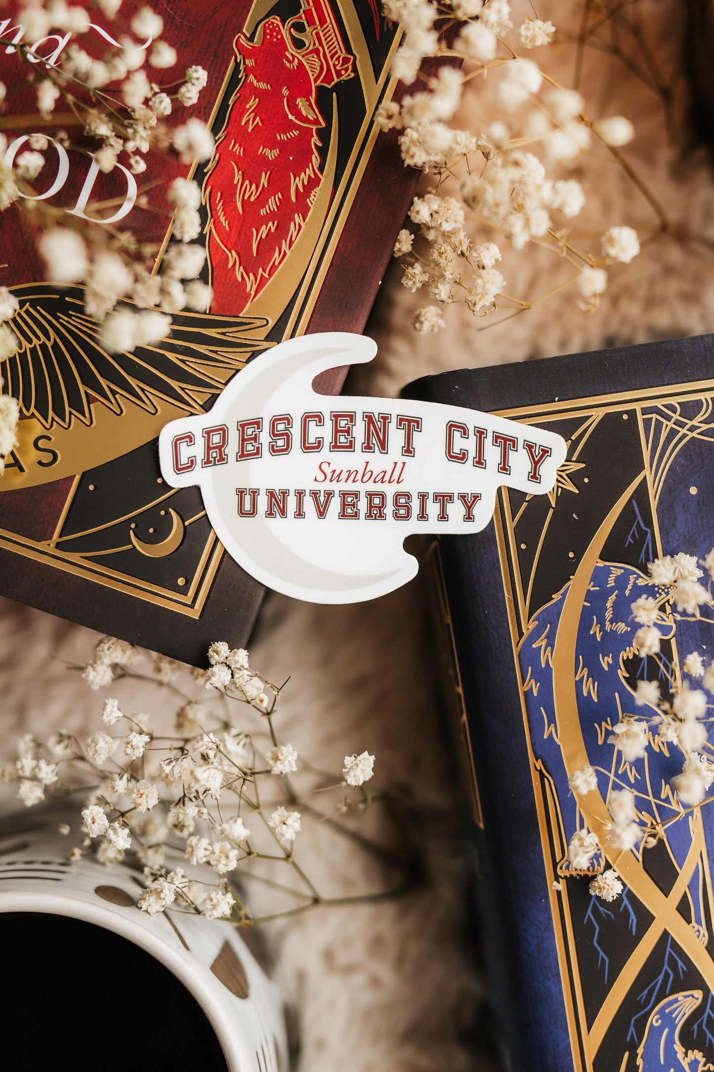 CCU Sunball Sticker | Crescent City Sticker | Sarah J Maas | Bookish Sticker | Kindle Stickers | HOSAB |