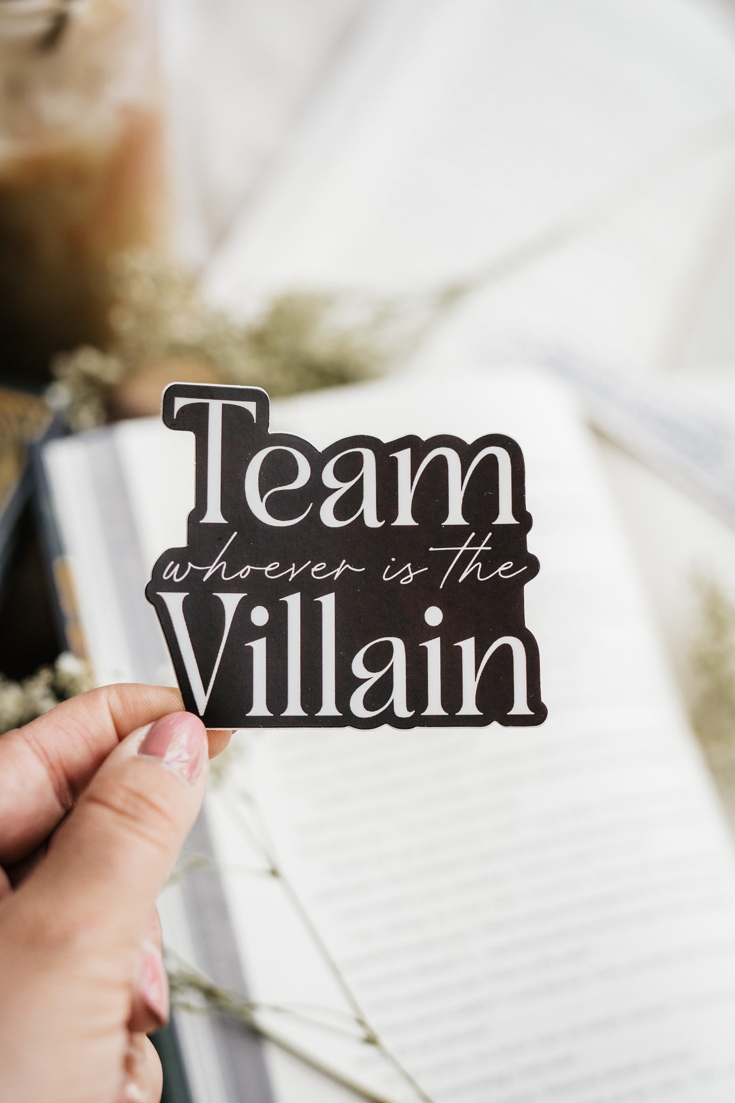 Book Sticker | Bookish Sticker | Team Villain | Morally Gray | Book Boyfriend | Dark Romance | Kindle Stickers