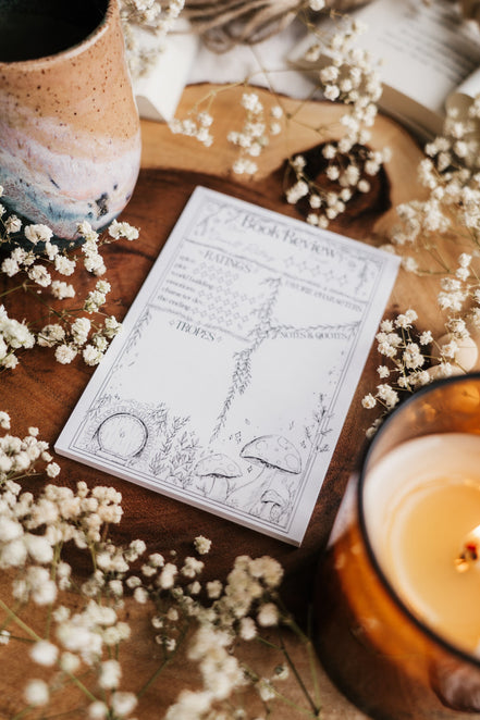 Book Review Sticky Notes - Faerie