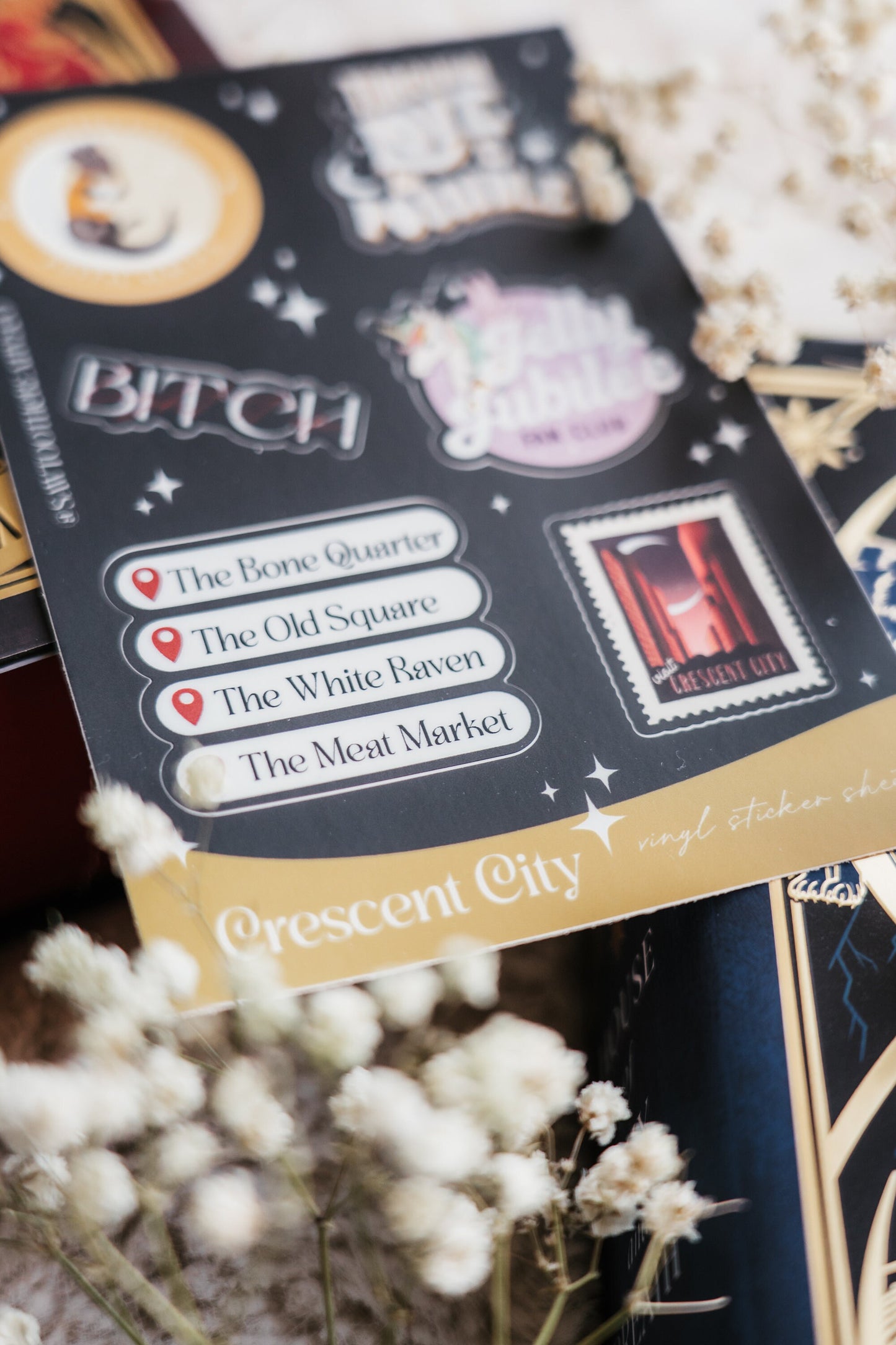 Crescent City Sheet | Bryce Quinlan | Sarah J Maas | Bookish Sticker Sheet | Kindle Stickers